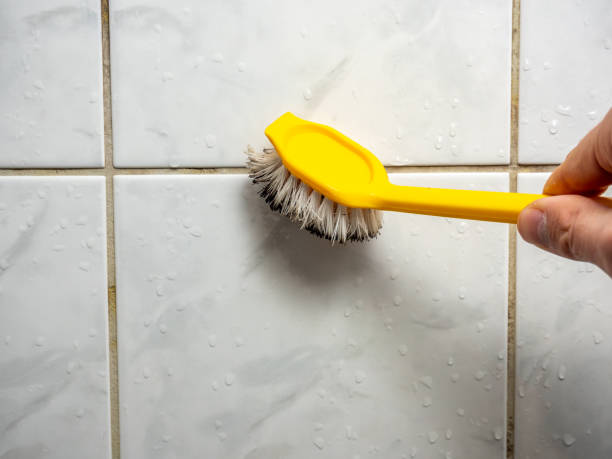 Best Affordable Mold Removal  in Old Stine, CA