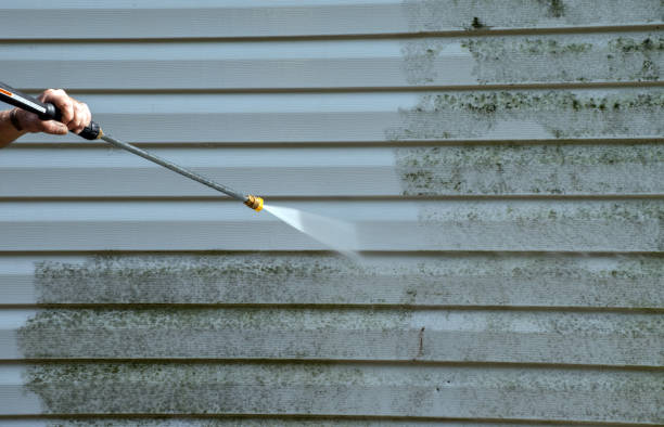 Mold Removal Process in Old Stine, CA