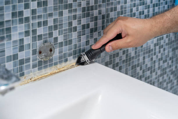 Best Mold Damage Repair  in Old Stine, CA