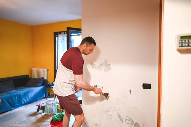 Best Residential Mold Removal  in Old Stine, CA